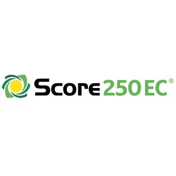 Score 250 EC